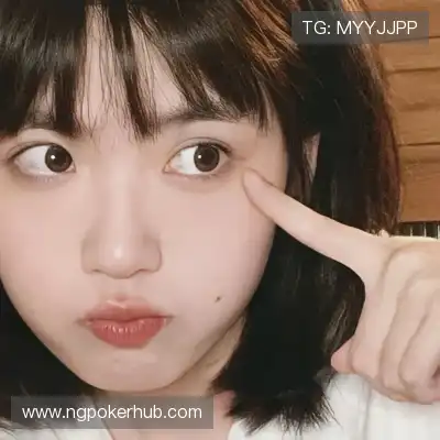 何鹰辉